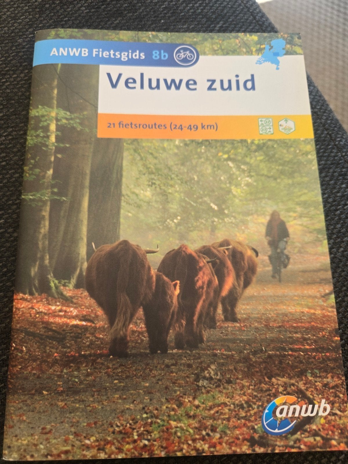 ANWB fietsgids Veluwe Zuid, Fiets- of Wandelgids, Europa, Ophalen of Verzenden, Zo goed als nieuw