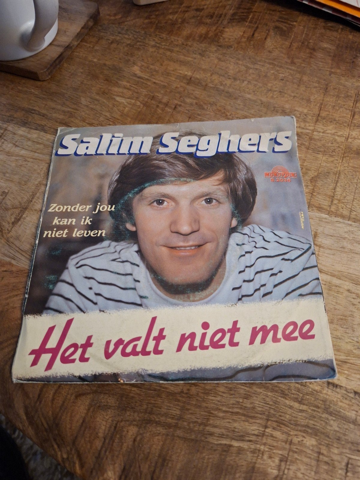 Salim seghers  / het valt niet mee, Ophalen of Verzenden, Zo goed als nieuw, Nederlandstalig