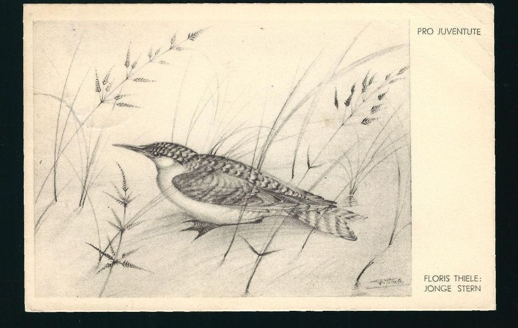 Floris Thiele de jonge Stern U06, Verzamelen, Ansichtkaarten | Themakaarten, Ophalen of Verzenden, 1940 tot 1960, Ongelopen, Sterren en Beroemdheden