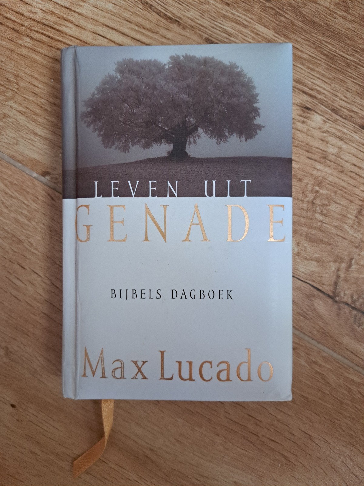 Leven uit Genade - Bijbels Dagboek door Max Lucado, Ophalen of Verzenden, Zo goed als nieuw, Max Lucado, Christendom | Protestants