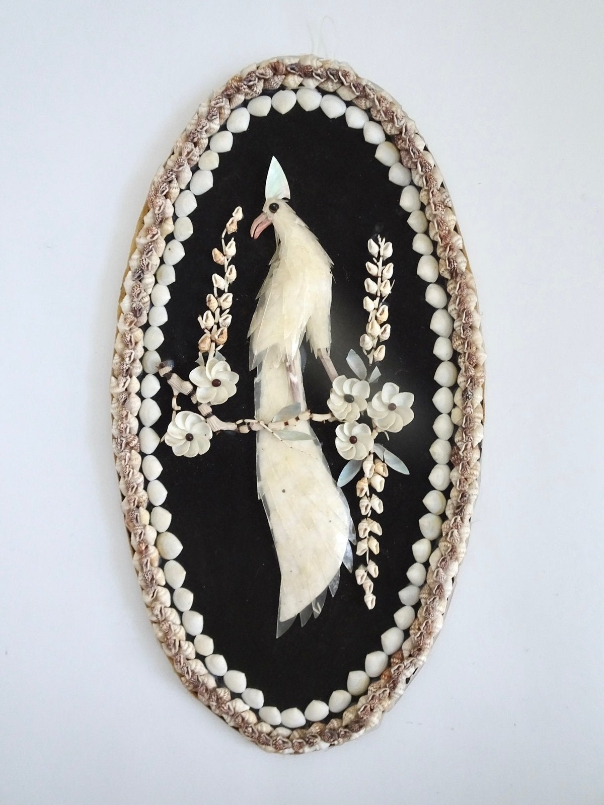 Grote vintage schelp schelpen vogel design lijst zwart wit, Ophalen, Gebruikt, Decoratieobject, 23 cm
