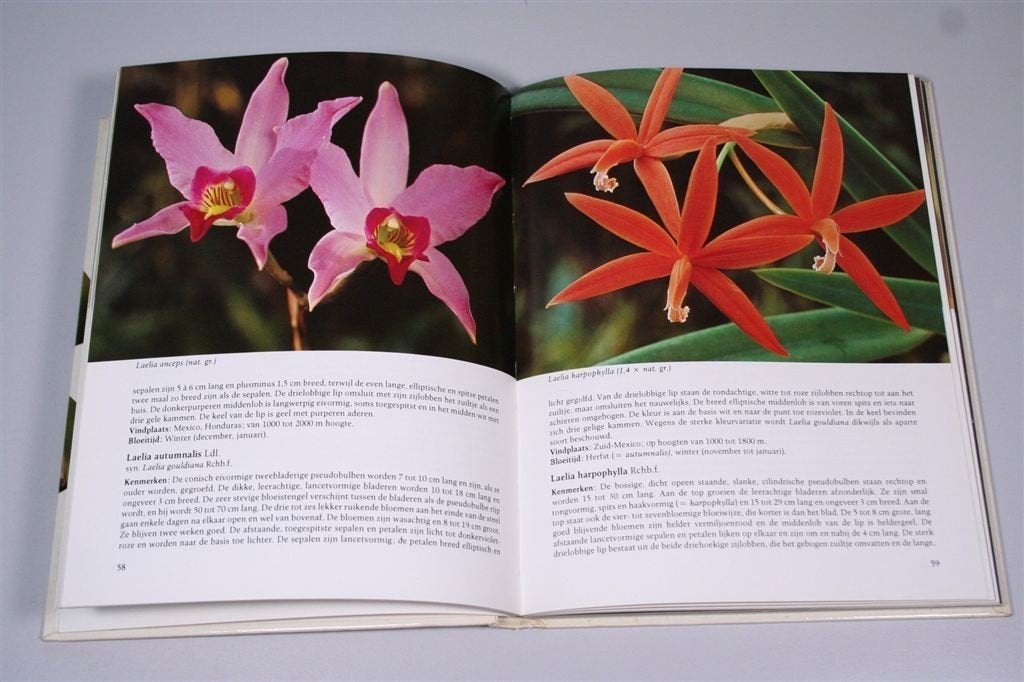 Orchideeën Kamer & Kas — 1979 — Geïllustreerd, Ophalen of Verzenden, Gelezen, Vogels