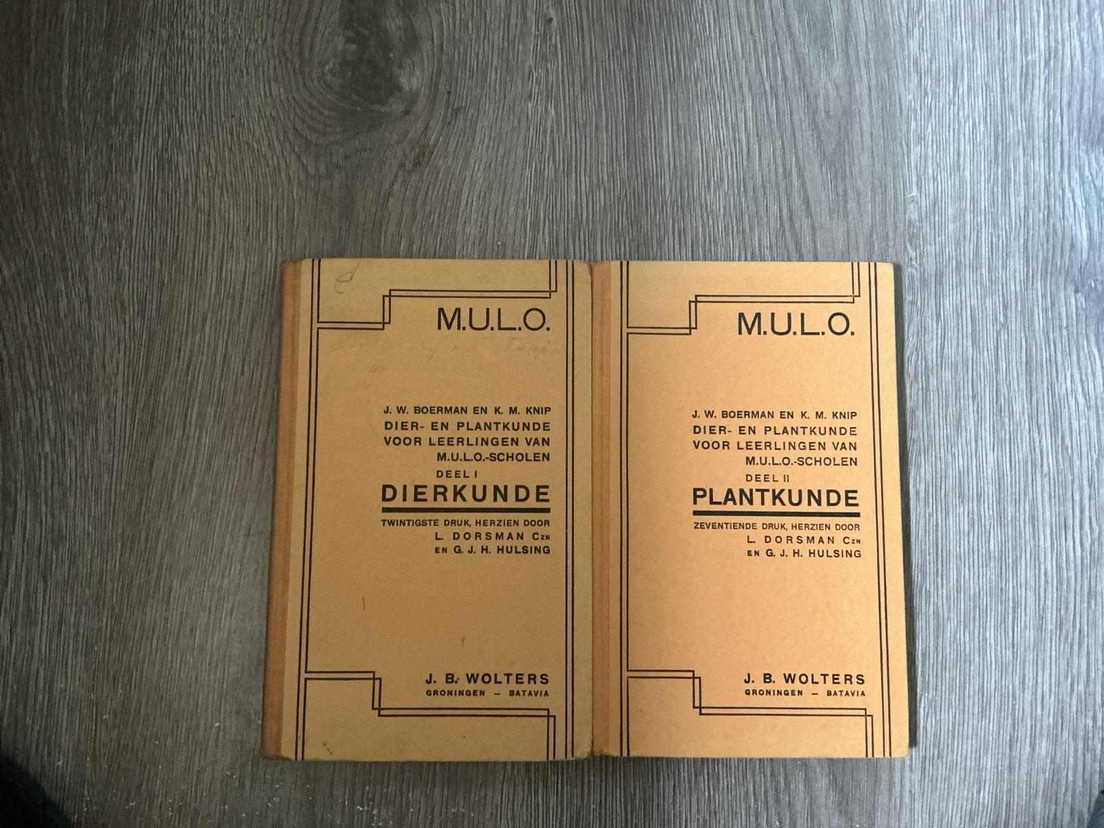M.U.L.O. Dierkunde & Plantkunde (J.W. Boerman & K.M. Knip), Ophalen of Verzenden, Beta, Gelezen, LBO