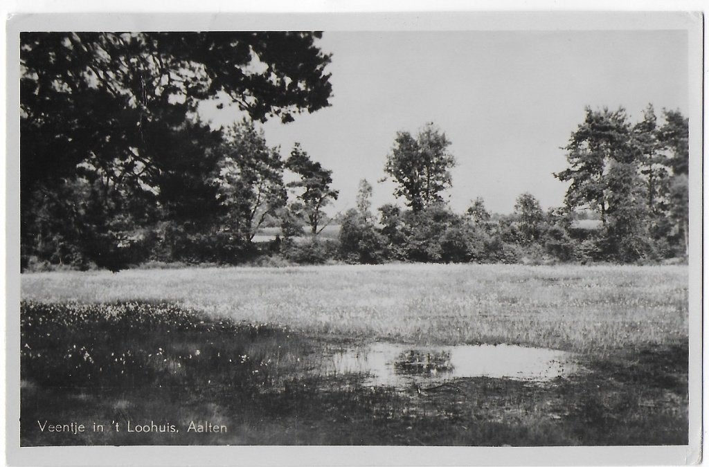 Aalten Loohuis  Gelopen   Ansichtkaart   ( B8410, Verzamelen, Ophalen of Verzenden, 1940 tot 1960, Gelopen