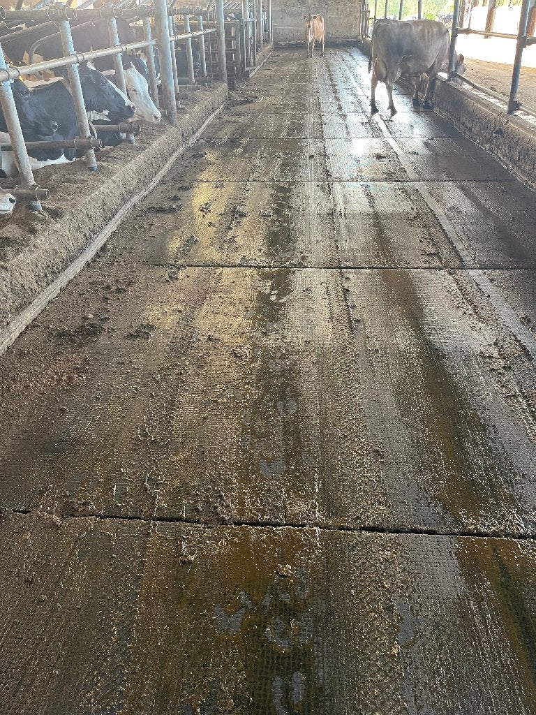 Rubber matten
