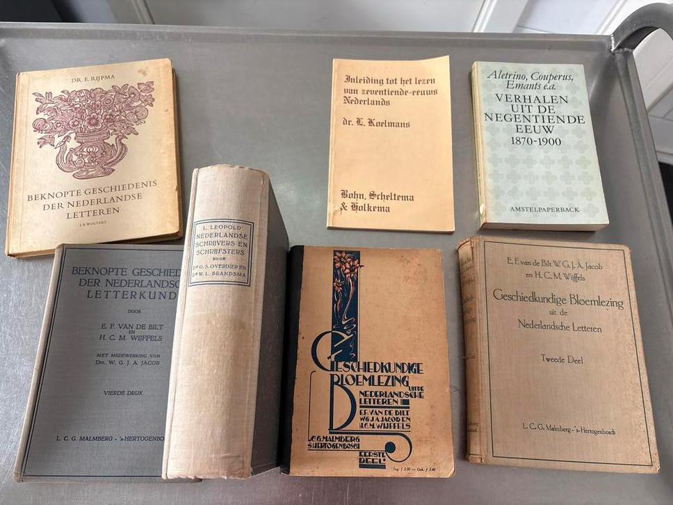 Diverse boeken over Geschiedenis Nederlandse Letteren, Ophalen of Verzenden, Gelezen, Nederland