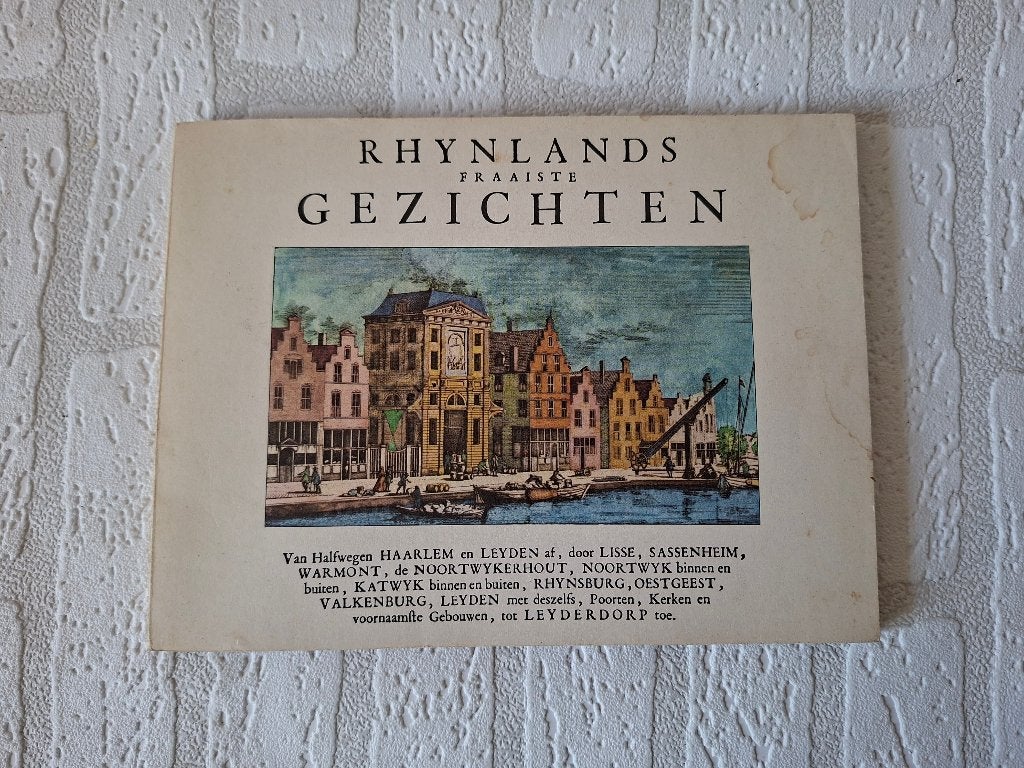 Rhynlands Fraaiste Gezichten - Abraham Rademaker jaren 70, Boeken, Ophalen of Verzenden, Gelezen