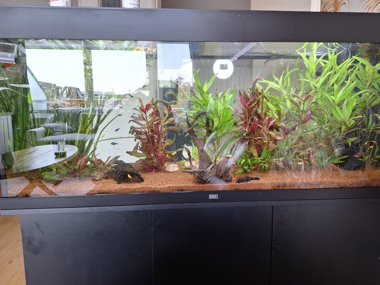 aquarium 240liter, Dieren en Toebehoren, Vissen | Aquaria en Toebehoren, Ophalen, Gevuld zoetwateraquarium, Juwel