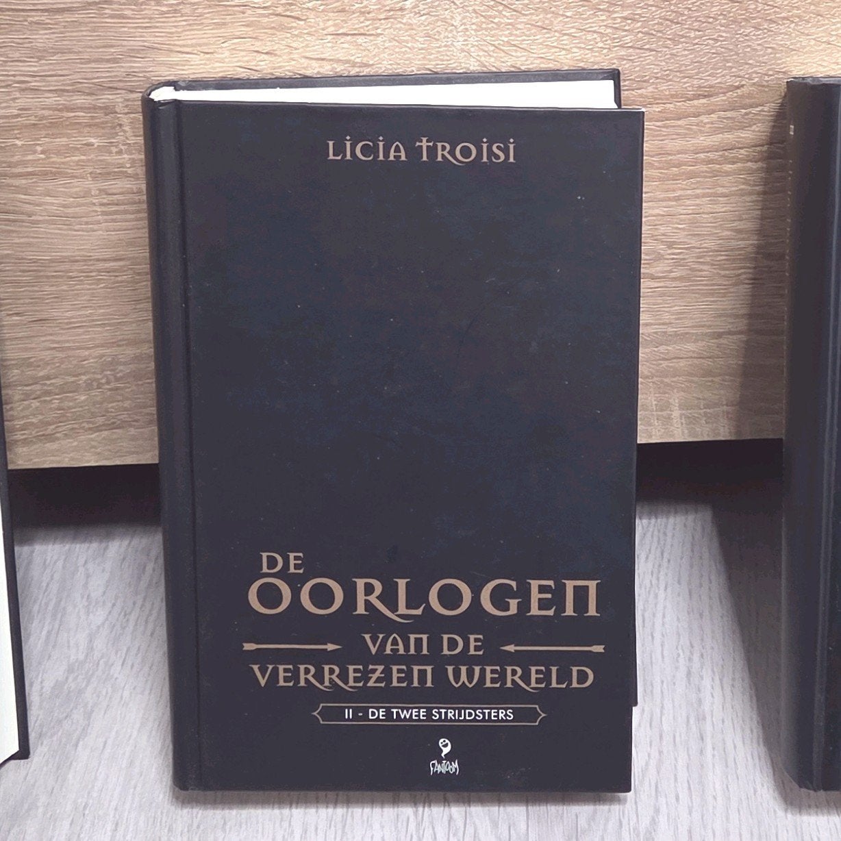 De Oorlogen van de Verrezen Werelden: De Twee Strijders, Boeken, Fantasy, Ophalen of Verzenden, Gelezen, LiciaTroisi