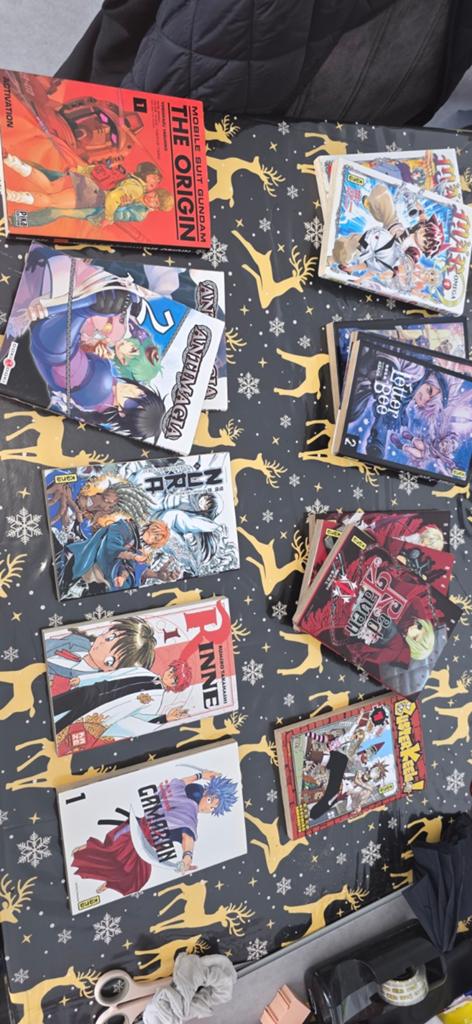 Grote partij Franse Manga's - Diverse series, Meerdere stripboeken, Ophalen of Verzenden, Gelezen