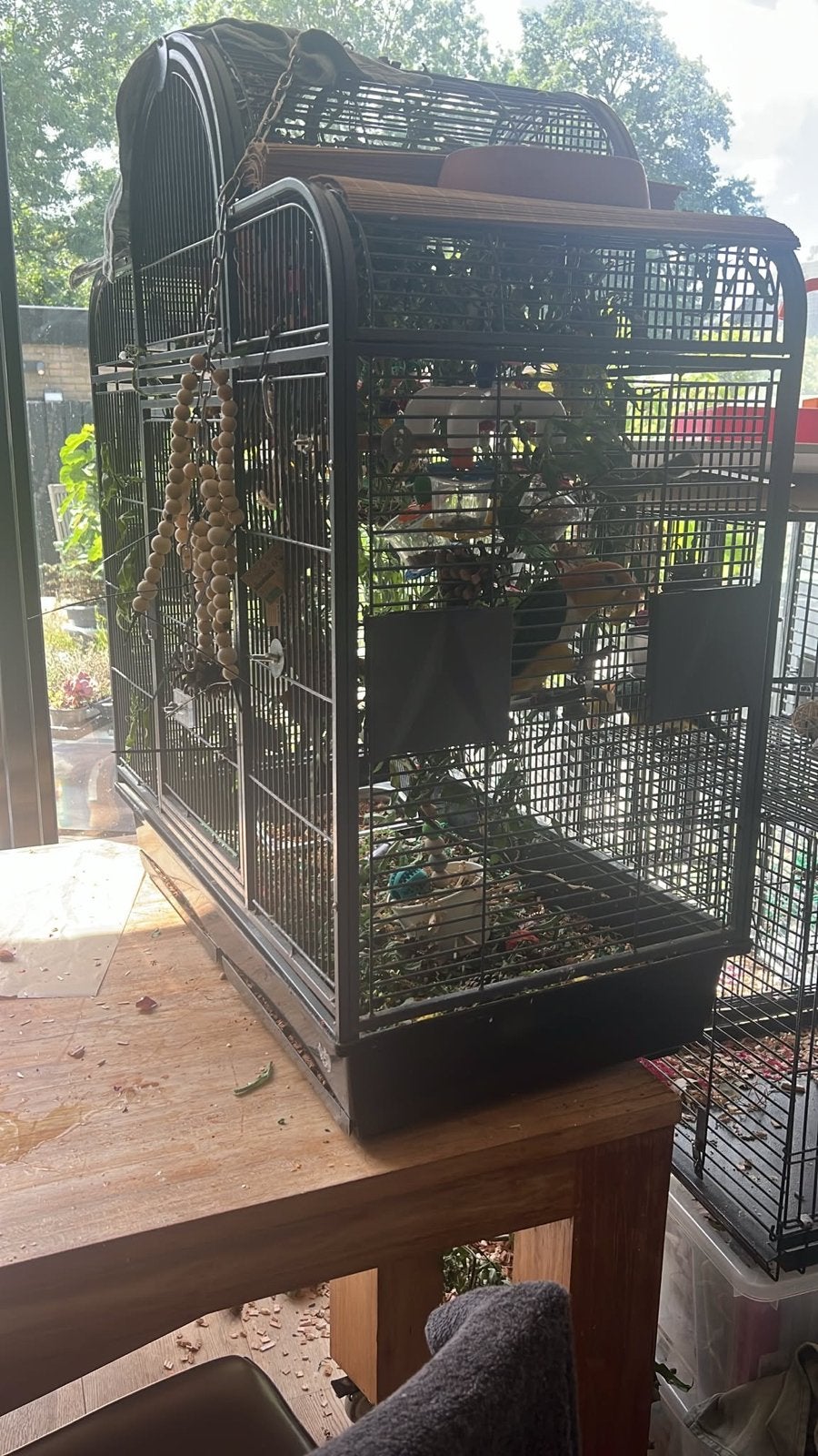 Papegaai kooi montana, Dieren en Toebehoren, Vogels | Hokken en Kooien, Ophalen, Zo goed als nieuw, Metaal, Vogelkooi