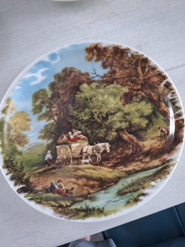 Decoratieve wandbord Royal Schwabap, Made in Enter Holland, Ophalen