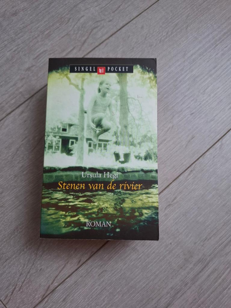 Stenen van de rivier - Ursula Hegi, Ophalen of Verzenden, Zo goed als nieuw, Ursula Hegi