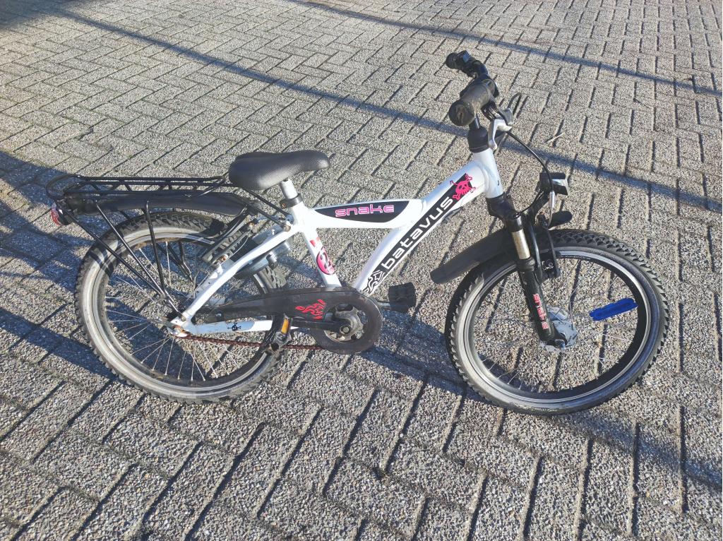 Batavus Snake jongens 20 inch  + blauwe alpina 20 inch, Gebruikt, 20 inch, Niet ingevuld, Ophalen