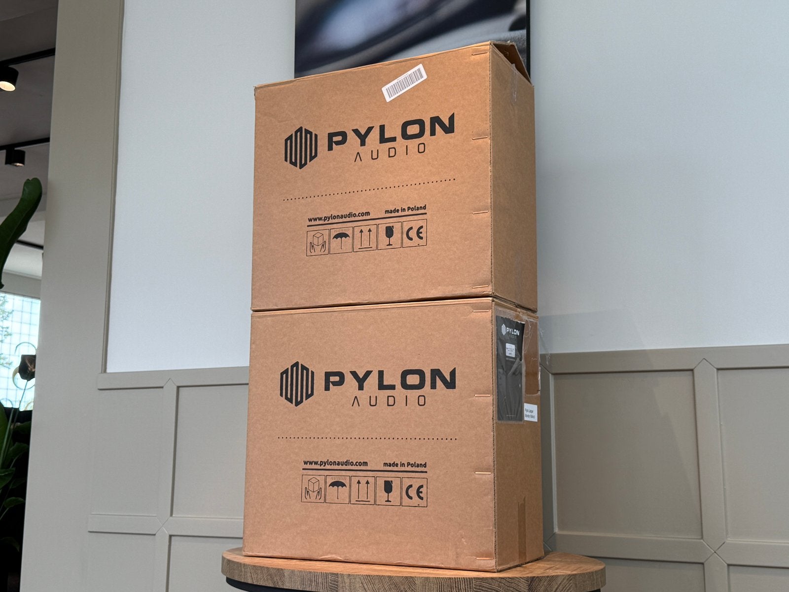 Pylon Audio Jasper 18, Ophalen of Verzenden, Zo goed als nieuw, /, /