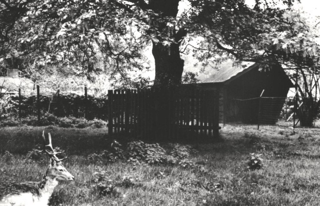 940079	Rossum gld	Gld 1972 Hertenkamp	Gelopen, Ophalen of Verzenden, 1960 tot 1980, Gelopen, Gelderland