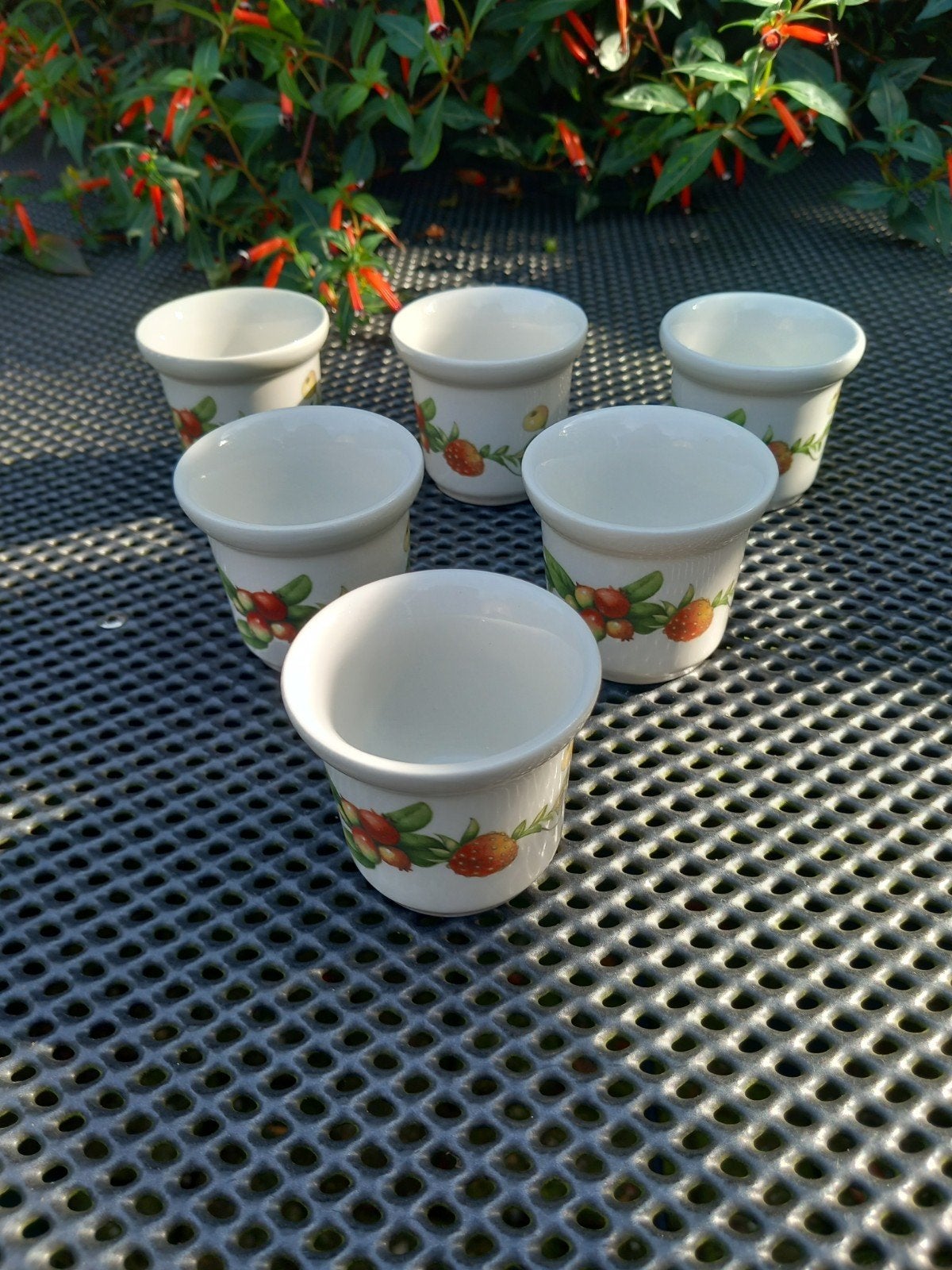 Libelle bosvruchten servies 6 eierdopjes, Ophalen of Verzenden