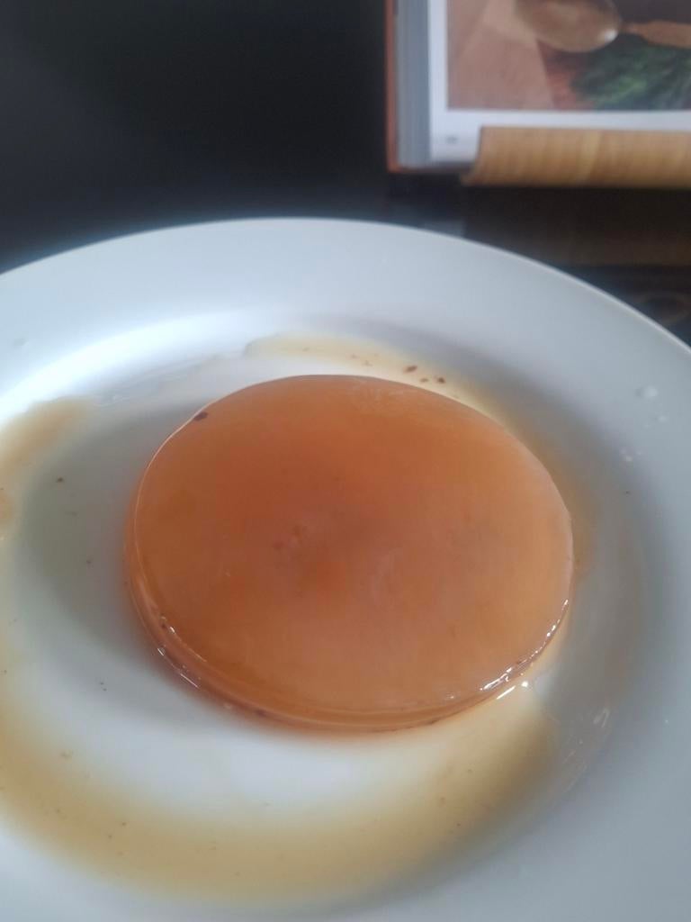 Kombucha scoby, Verzenden