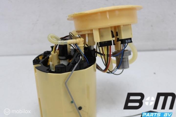 Brandstofpomp Audi A6 4G FL 4G0919050C, Gebruikt