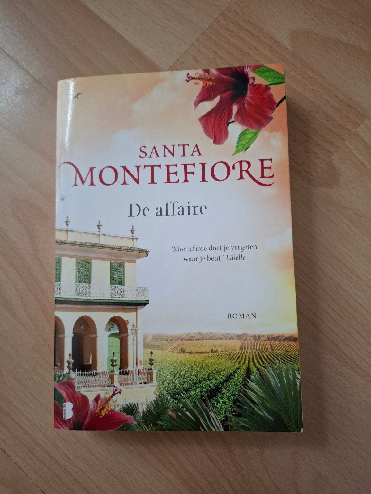 Santa Montefiore De Affaire, Boeken, Romans, Ophalen of Verzenden