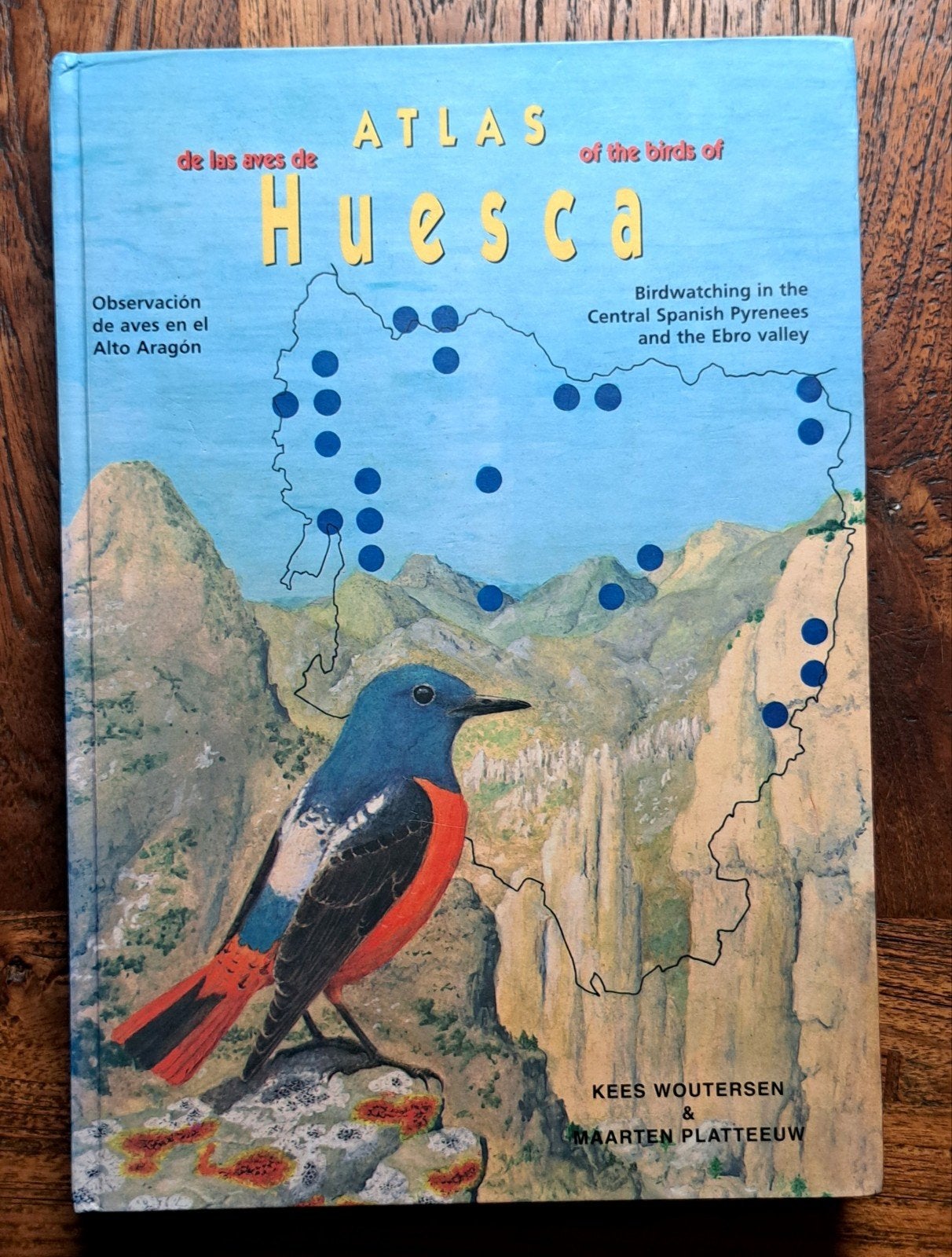Atlas of the birds Huesca - Spaans / Engels, Kees Woutersen en Maarten Platteeuw, Nieuw, Ophalen of Verzenden, Vogels