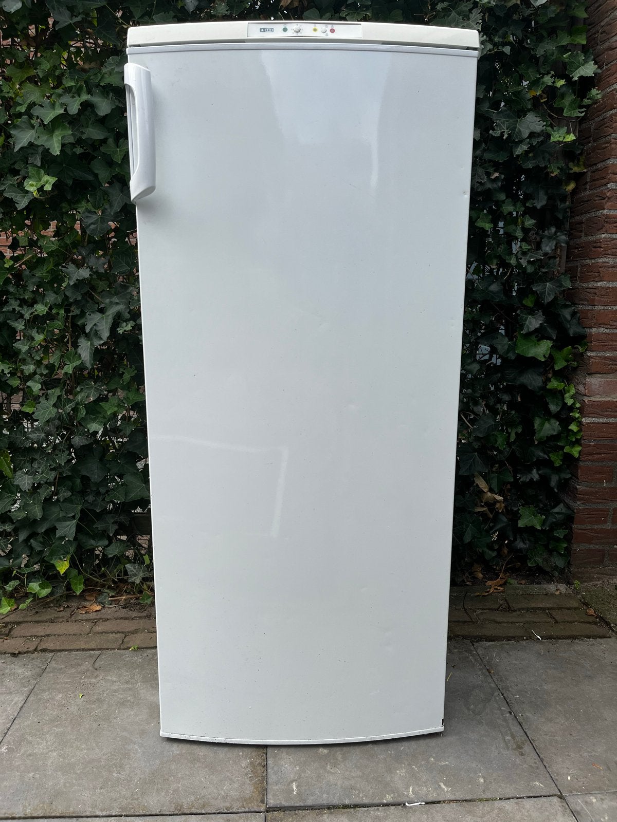 Vriezer met 5 lades - Ideaal voor extra opslag, Ophalen, 150 tot 200 liter, Gebruikt, Met aparte vriezer