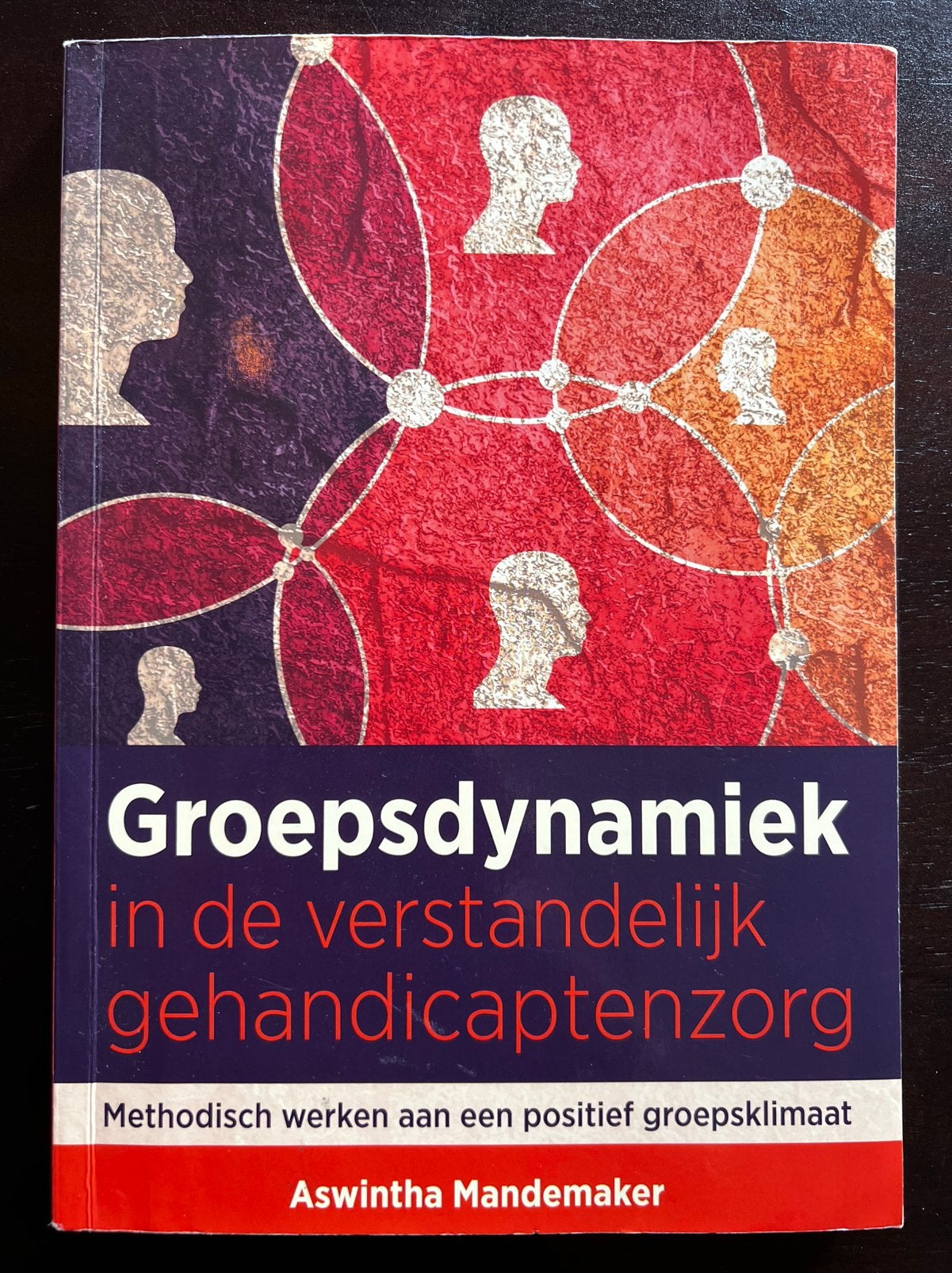 Groepsdynamiek in de verstandelijk gehandicaptenzorg, Sociale wetenschap, Ophalen of Verzenden, Zo goed als nieuw, Aswintha Mandemaker
