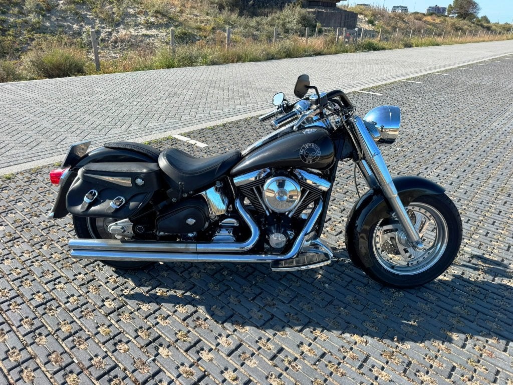 Unieke Harley Davidson FLSTS Eigen Bouw, 2 cilinders, 1340 cc, Gebruikt, Particulier