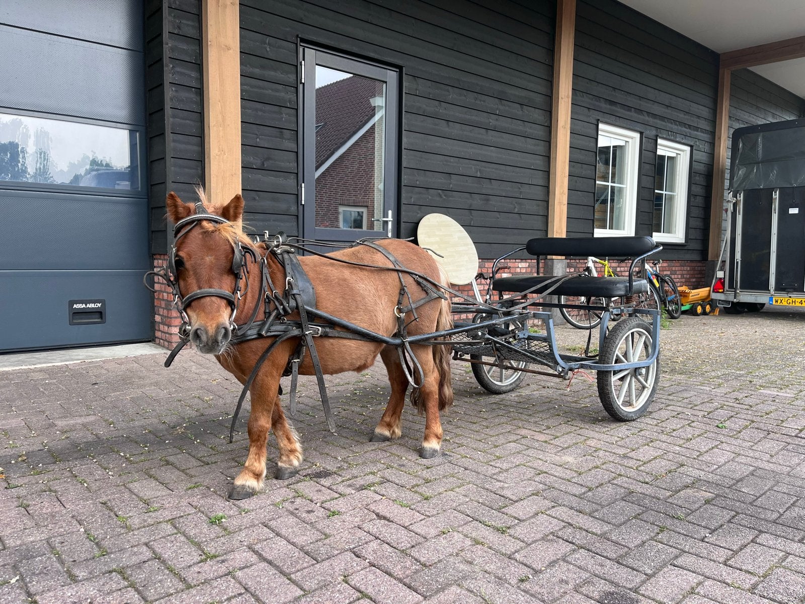 Mensulky en mentuig, Dieren en Toebehoren, Rijtuigen en Koetsen, Gebruikt, Sulky, Pony