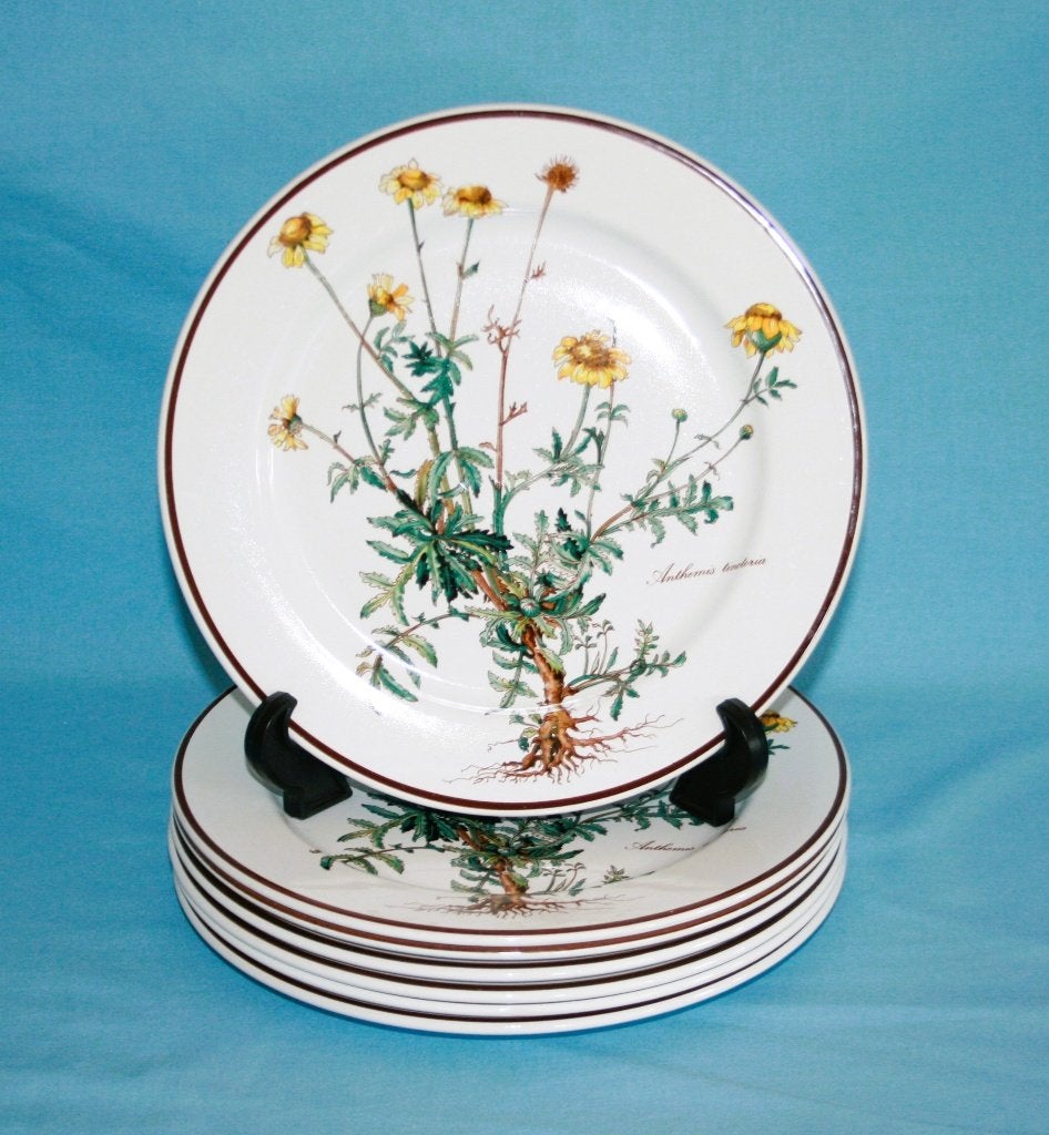 Villeroy & Boch " Botanica " Dinerborden 24cm, Villeroy & Boch, NVT, Ophalen of Verzenden, Zo goed als nieuw