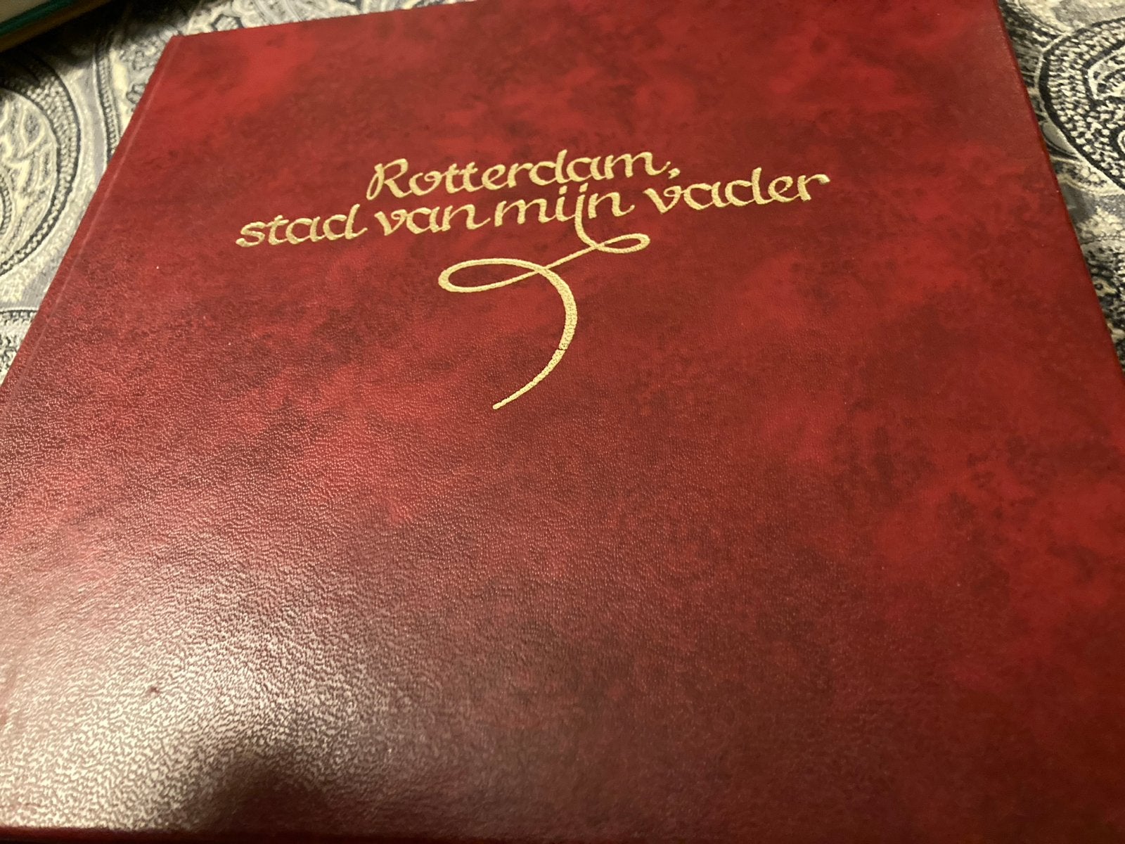 Rotterdam, stad van mijn vader - Historisch fotoboek, Boeken, Ophalen of Verzenden, 20e eeuw of later, Zo goed als nieuw