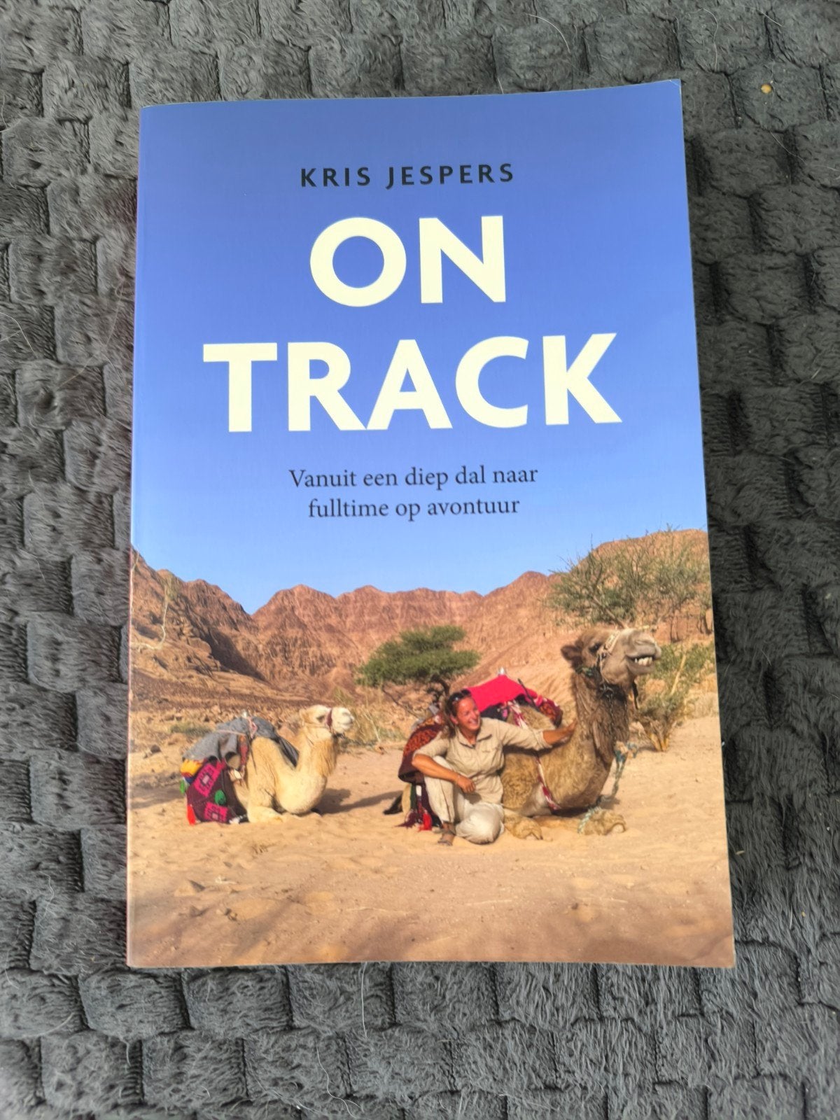 On Track - Kris Jespers (Zo goed als nieuw), Boeken, Ophalen of Verzenden, Zo goed als nieuw, Kris Jespers