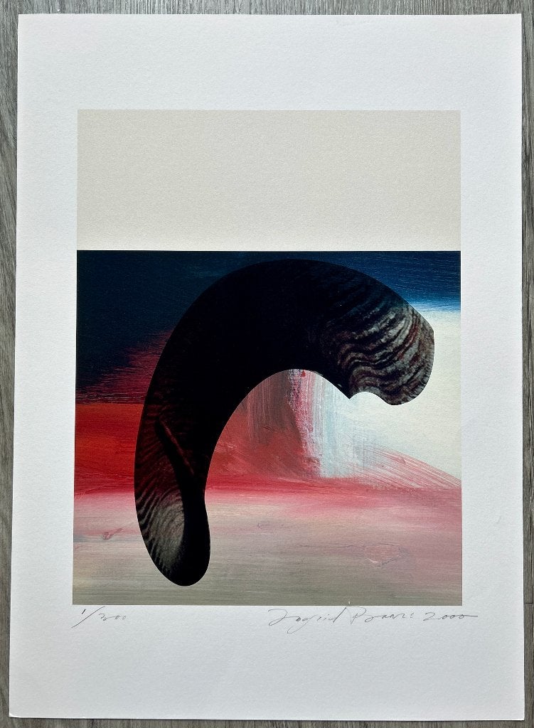 Zeefdruk Ingrid Baars, Antiek en Kunst, Kunst | Litho's en Zeefdrukken, Gesigneerd, Verzenden, Zeefdruk