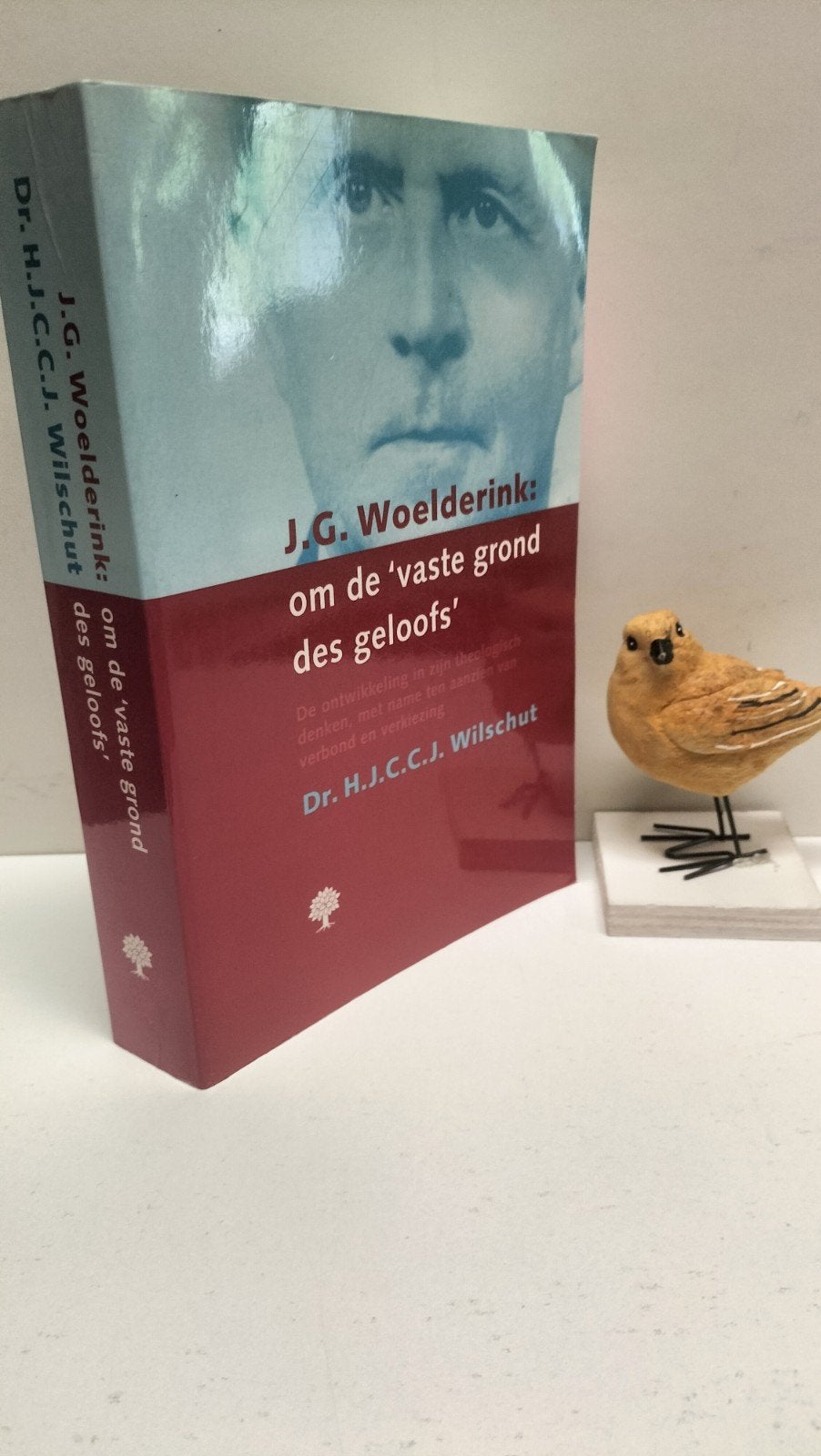 Wilschut, Dr. H.J.C.C.j.;  J.G. Woelderink:  om de ‘vaste, Boeken, Ophalen of Verzenden, Gelezen, Christendom | Protestants