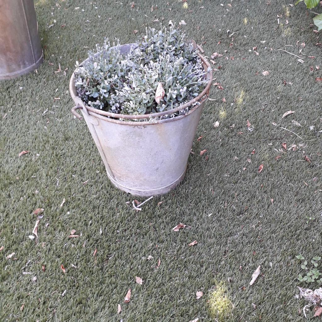 Zinken emmer, Gebruikt, Minder dan 30 cm, Minder dan 60 cm, Rond