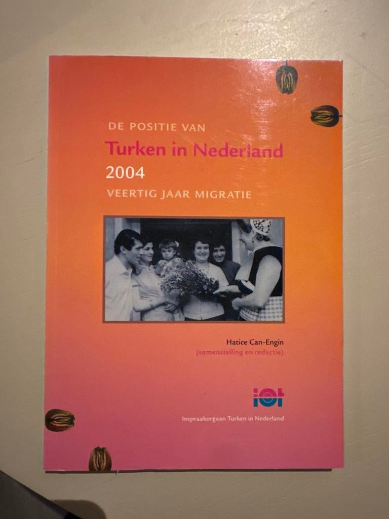 De Positie van Turken in Nederland 2004 - Migratieboek, Ophalen of Verzenden, Zo goed als nieuw