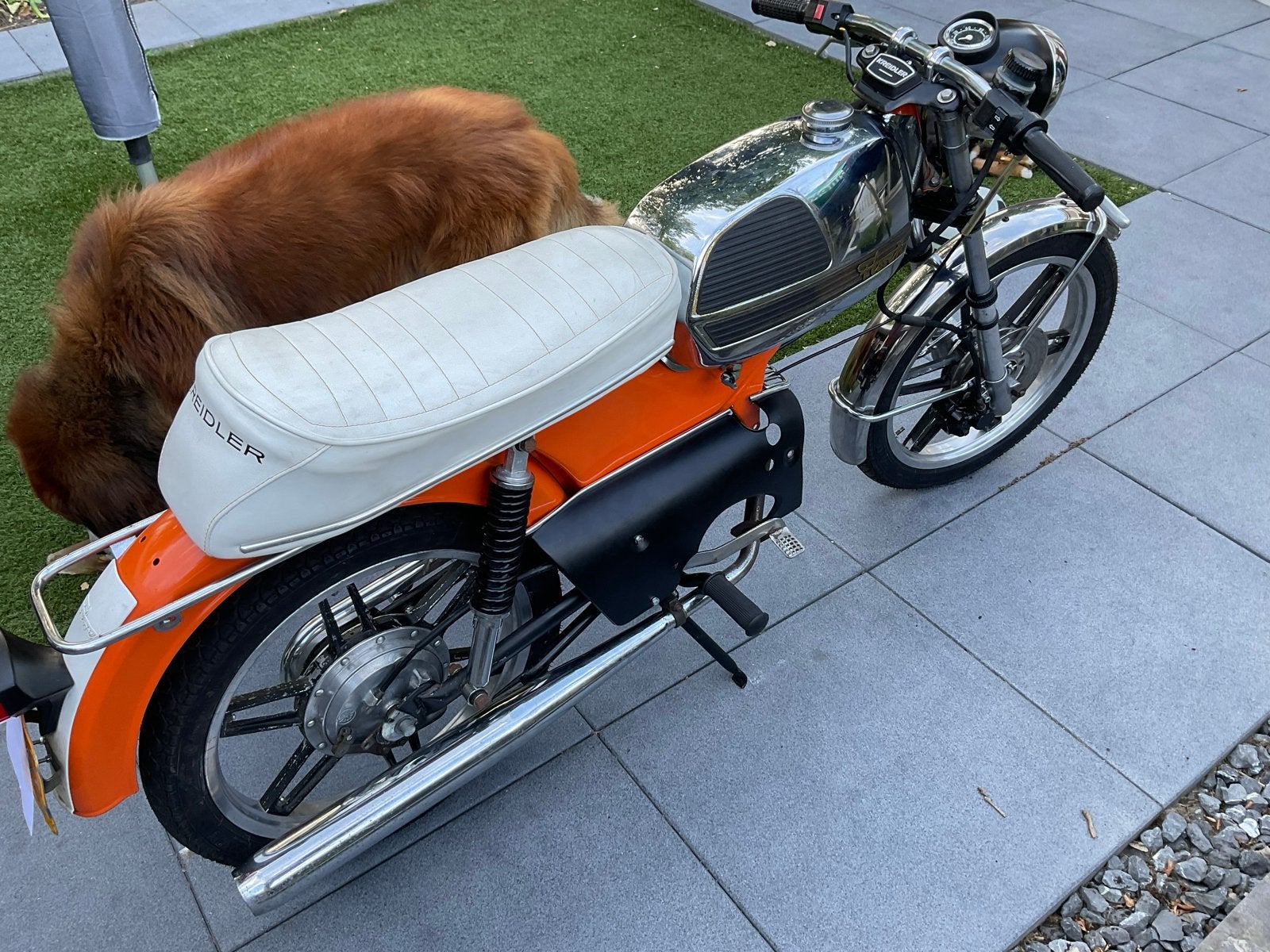 Kreidler K 53/42 NL met bromfietskenteken, Ophalen, Gebruikt, Overige modellen