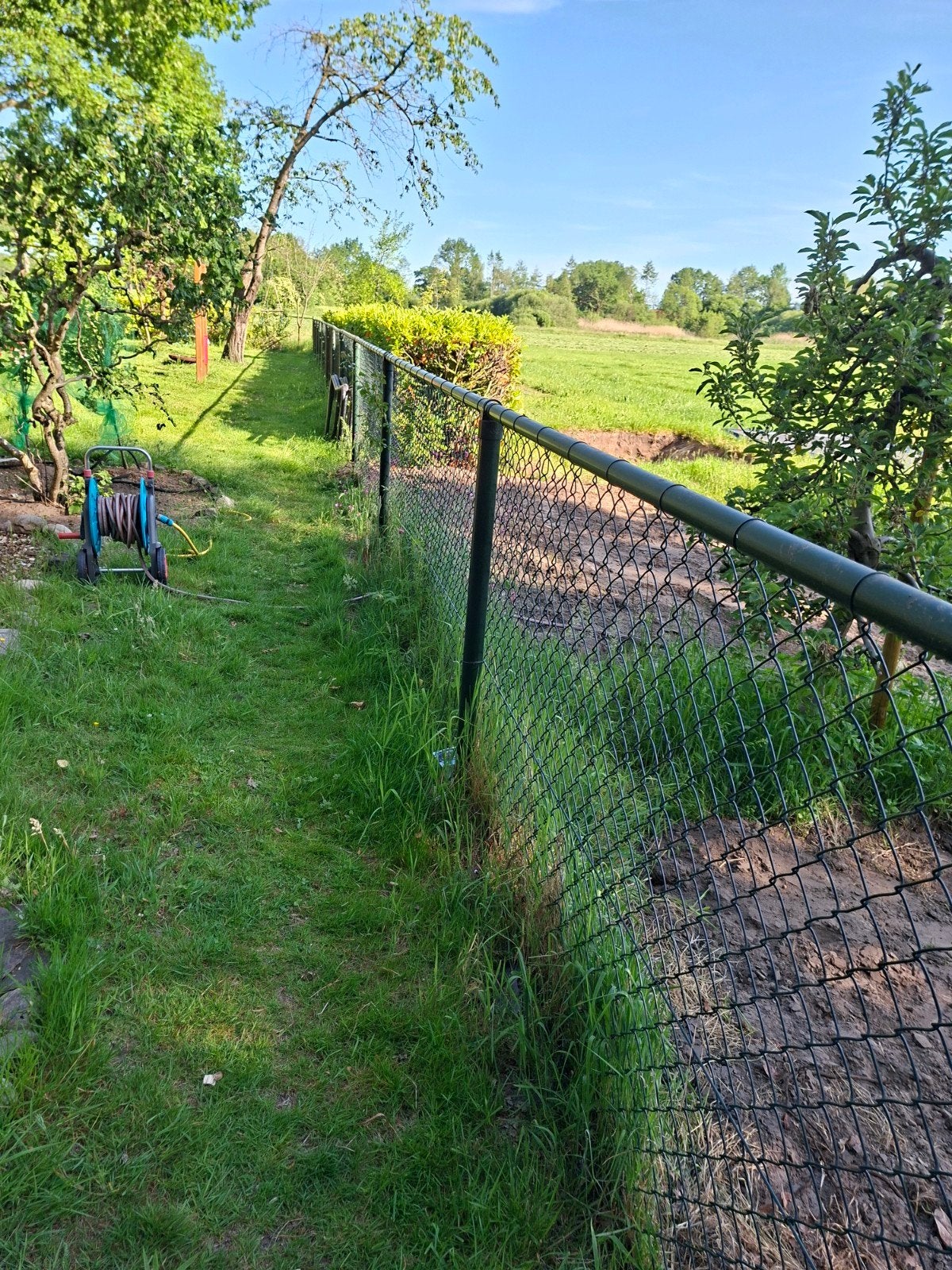 Groen Gaashekwerk - Gebruikt maar in goede staat, Tuin en Terras, Tuinhekken en Hekwerk, Ophalen of Verzenden, Gebruikt, IJzer