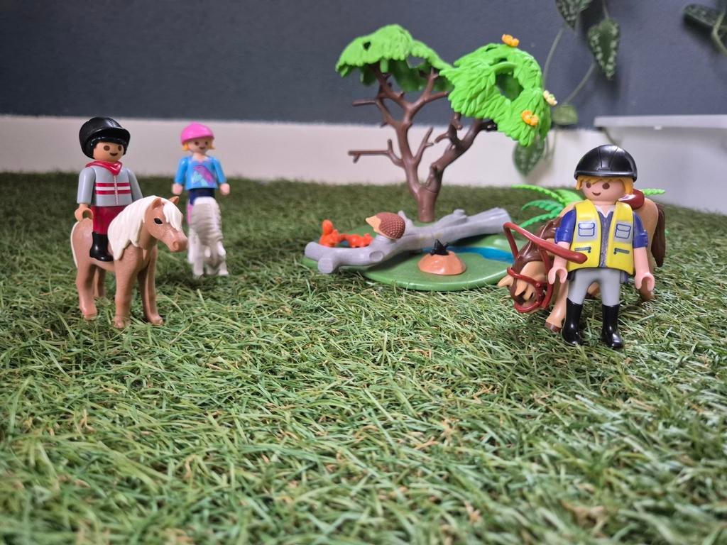 Playmobil 6947 Ponyrijles, Kinderen en Baby's, Speelgoed | Playmobil, Ophalen of Verzenden
