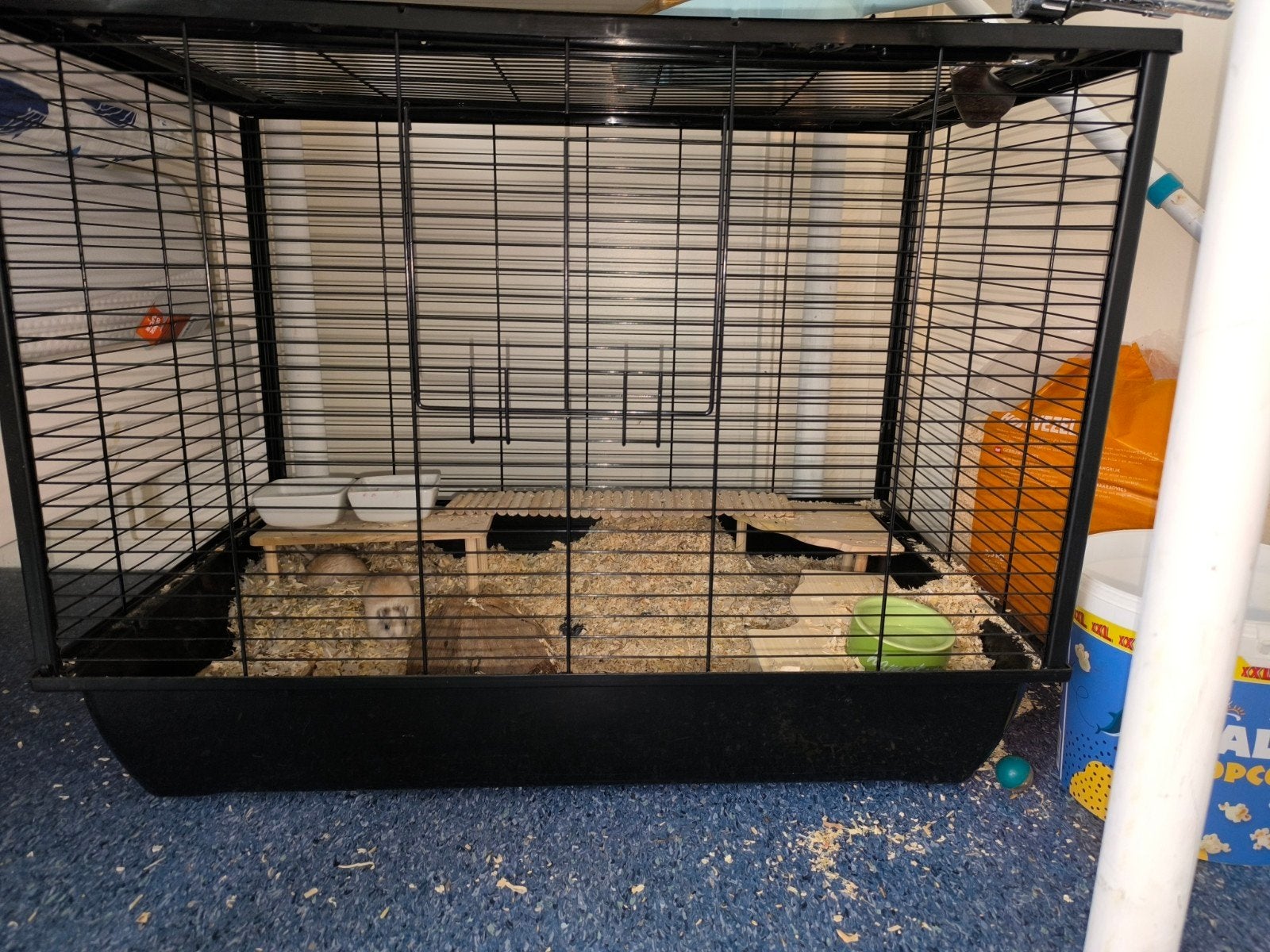 gerbils met kooi, Dieren en Toebehoren, Kooi, Gebruikt, 75 tot 110 cm, Ophalen