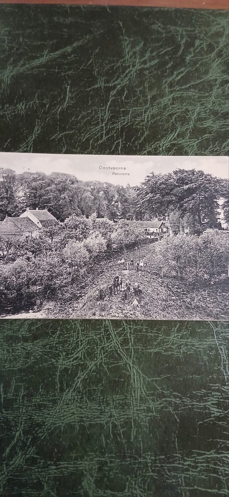 Panorama Oostvoorne, Ophalen of Verzenden, Voor 1920, Gelopen, Zuid-Holland