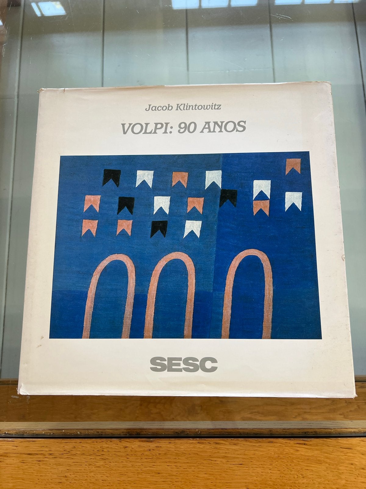 Volpi: 90 Anos - Jacob Klintowitz (Kunstboek), Ophalen of Verzenden, Zo goed als nieuw, Schilder- en Tekenkunst