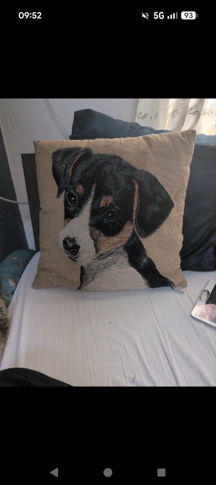 Kussen met hond, Huis en Inrichting, Woonaccessoires | Kussens, Bruin, Vierkant, Ophalen of Verzenden, Zo goed als nieuw