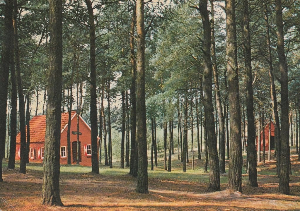 HAELEN  Buitencentrum De Spar, Verzamelen, Verzenden, 1980 tot heden, Gelopen, Limburg