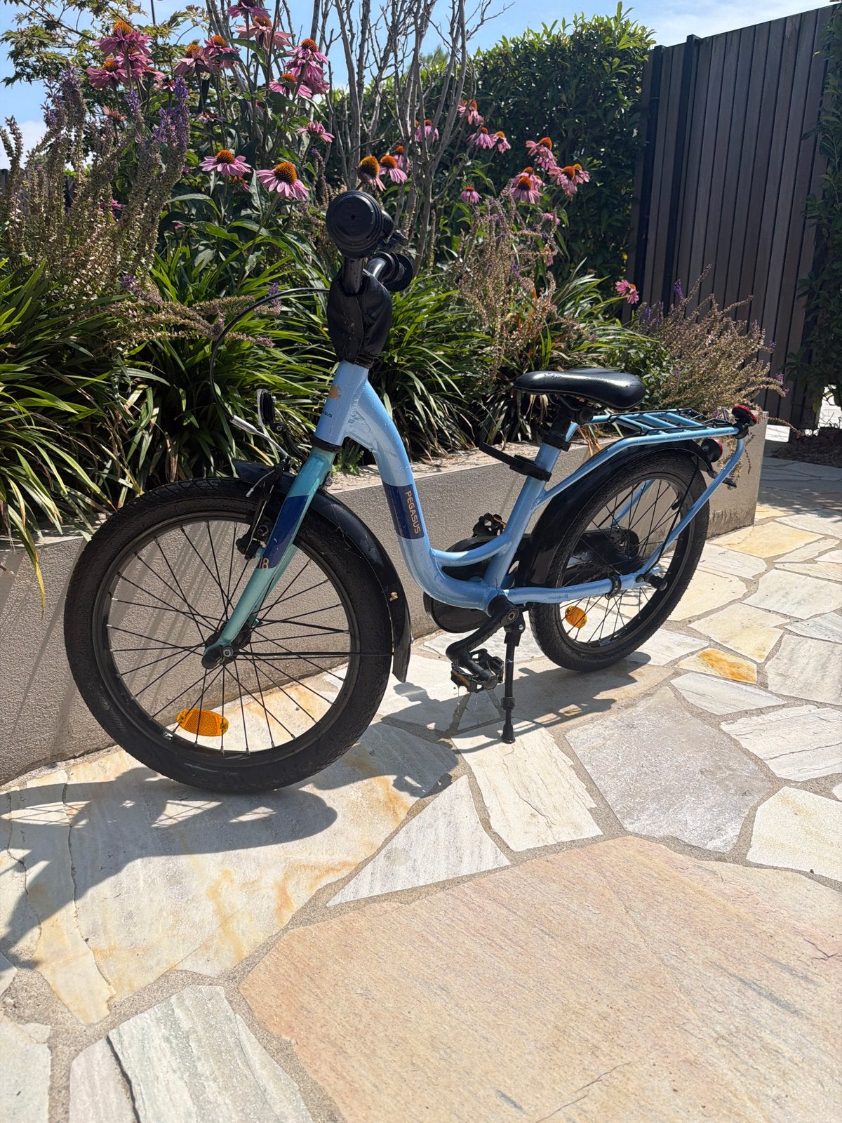 Pegasus Kinderfiets - Blauw, 16 inch, Ophalen, Gebruikt, Terugtraprem, 16 tot 20 inch