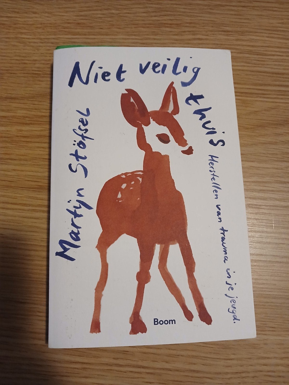 Niet veilig thuis: Herstellen van trauma in je jeugd, Ophalen of Verzenden, Zo goed als nieuw, Klinische psychologie, Martijn Stöfsel