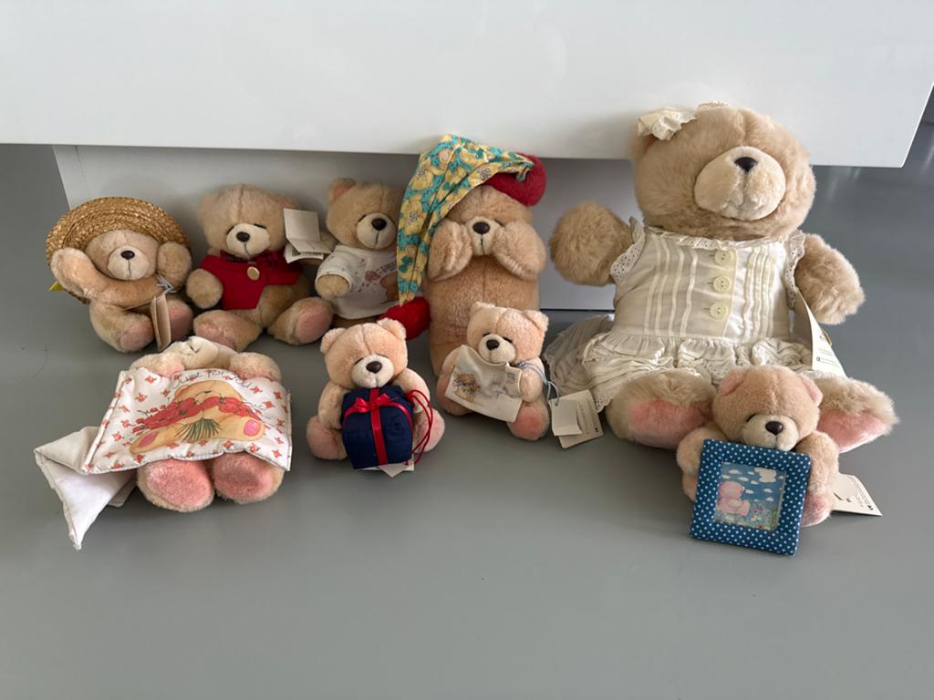 Forever Friends Knuffelberen Collectie - Diverse Maten, Overige merken, Overige karakters, Beer, Ophalen of Verzenden