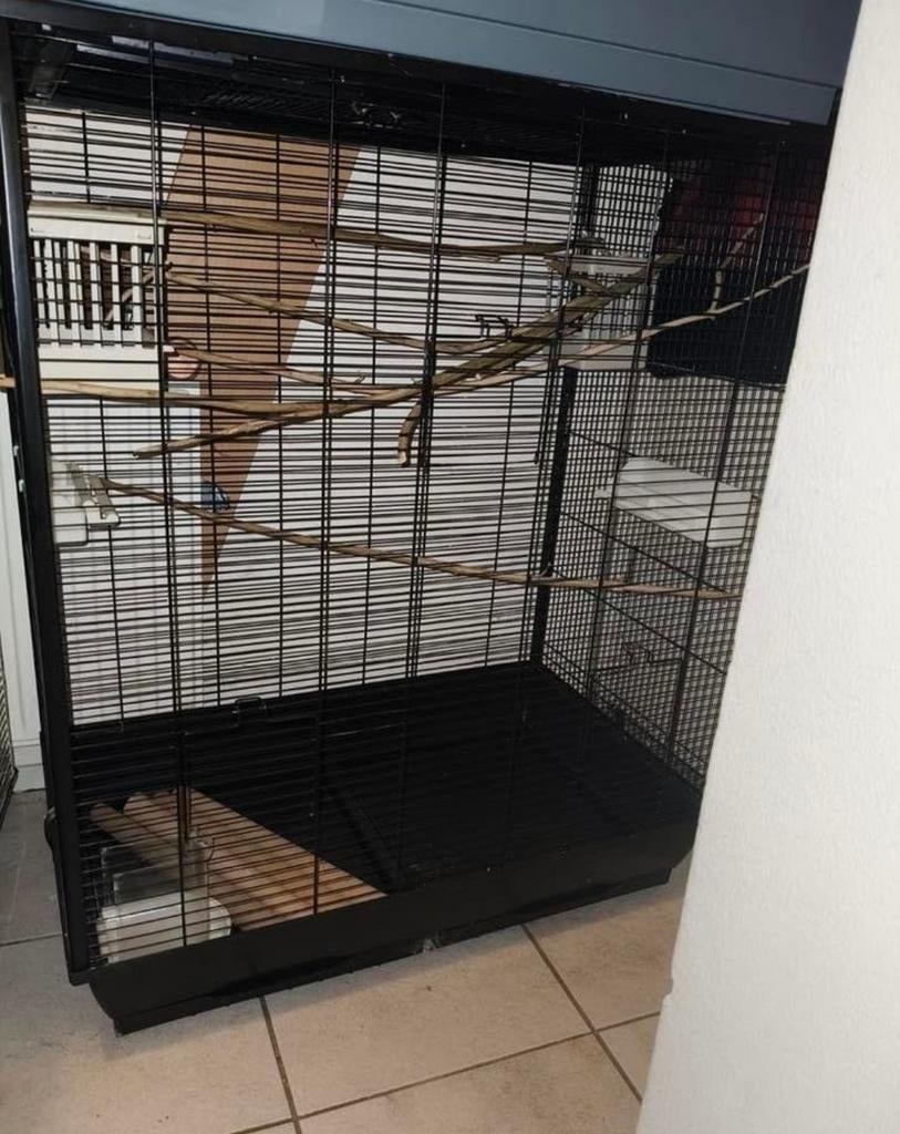 luxe voliere/ mega vogelkooi te koop! + toebehoren, Ophalen, Metaal, Vogelkooi