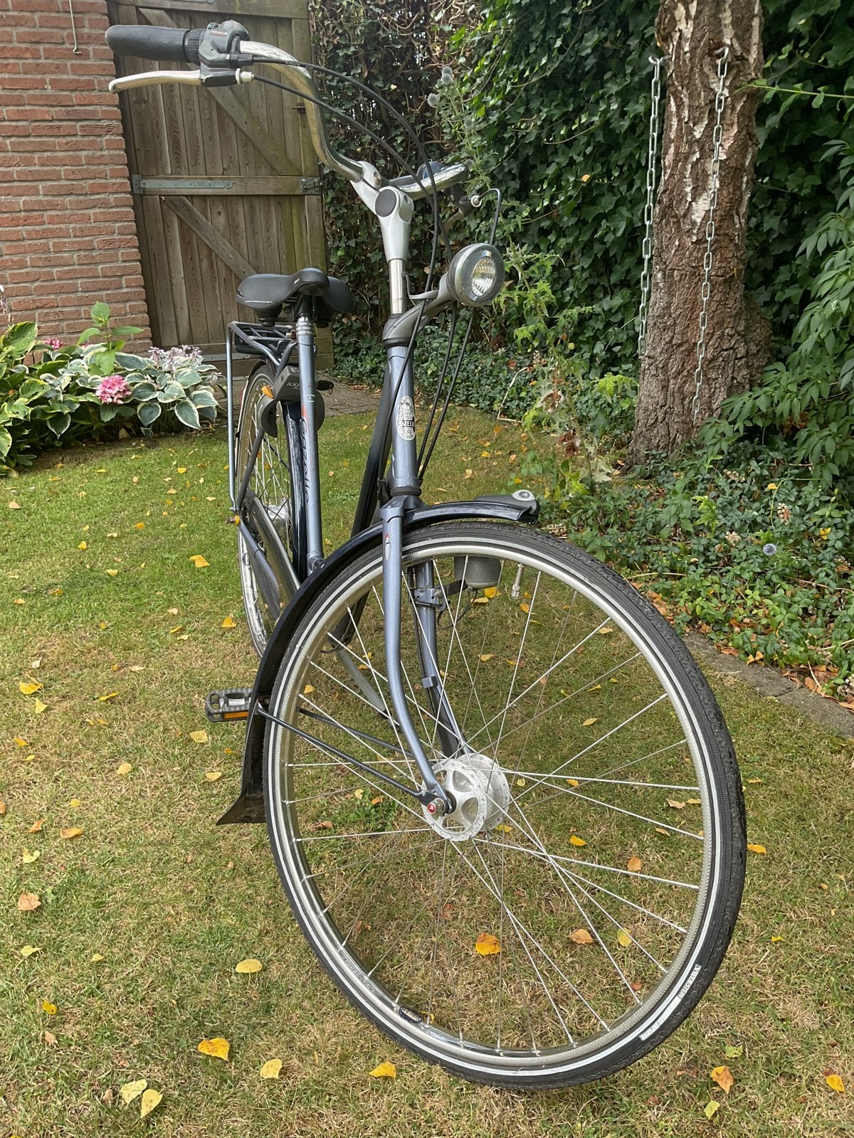Gazelle Impala damesfiets met 7 versnellingen, Ophalen, Gebruikt, Versnellingen, 56 cm of meer