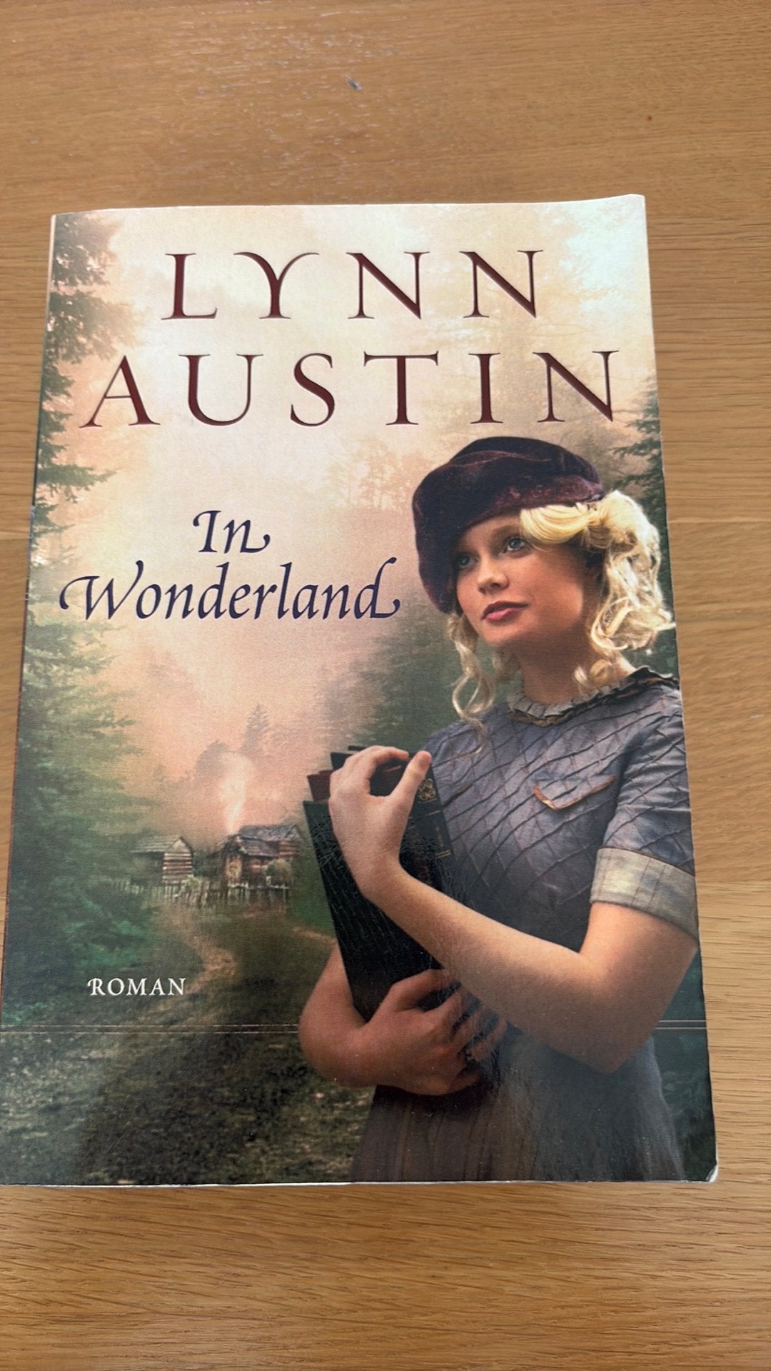 Lynn Austin boek, Boeken, Ophalen, Zo goed als nieuw